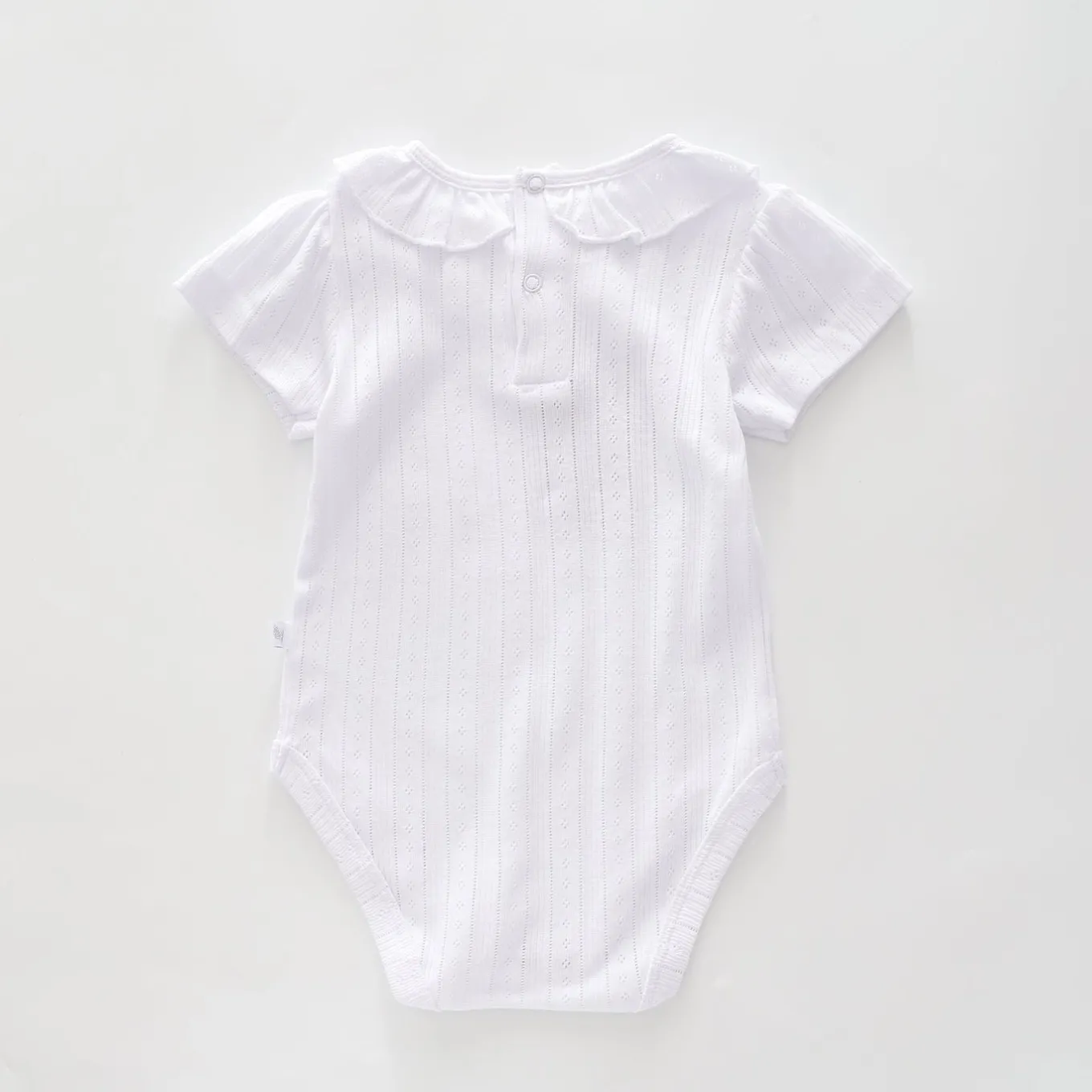 Baby Girls Pointelle Bodysuit