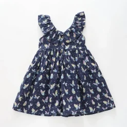 Blue Butterfly Dress