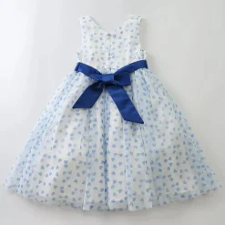 Blue Heart Print Tulle Dress