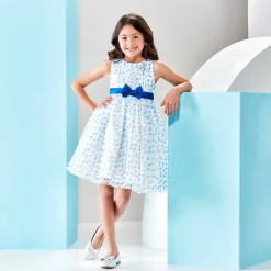Blue Heart Print Tulle Dress