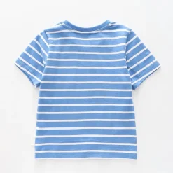 Boys Dino Expert Tee