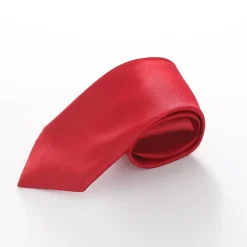 Boys' Formal Neck Tie - Deep Red