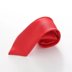 Boys' Formal Neck Tie - Red