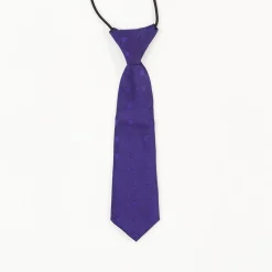 Boys Purple Polka Dot Tie