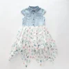 Denim Butterfly Dress