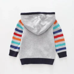 Dino Brights, Infant Boys Zip Hoodie