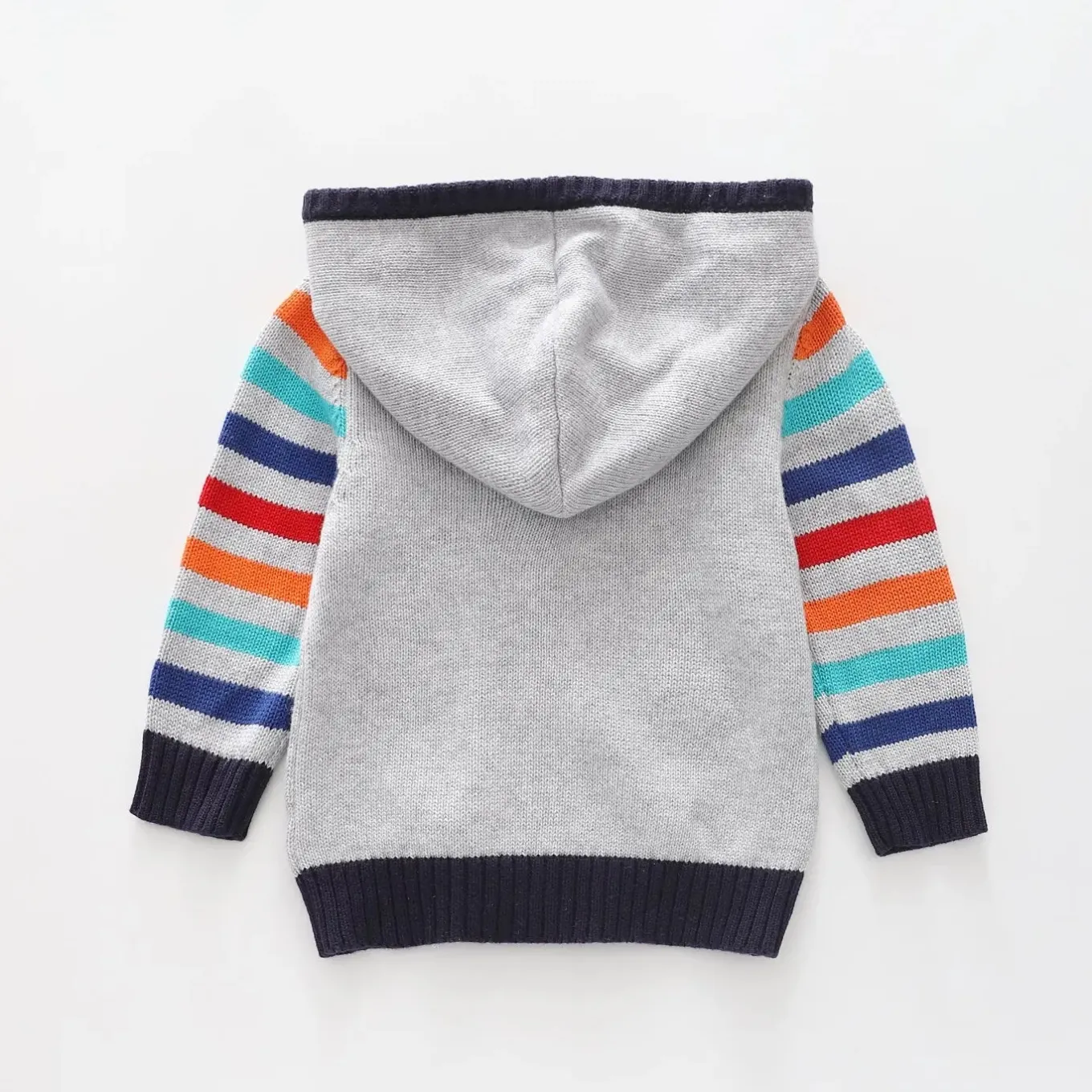 Dino Brights, Infant Boys Zip Hoodie