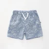 Dino Chambray Shorts