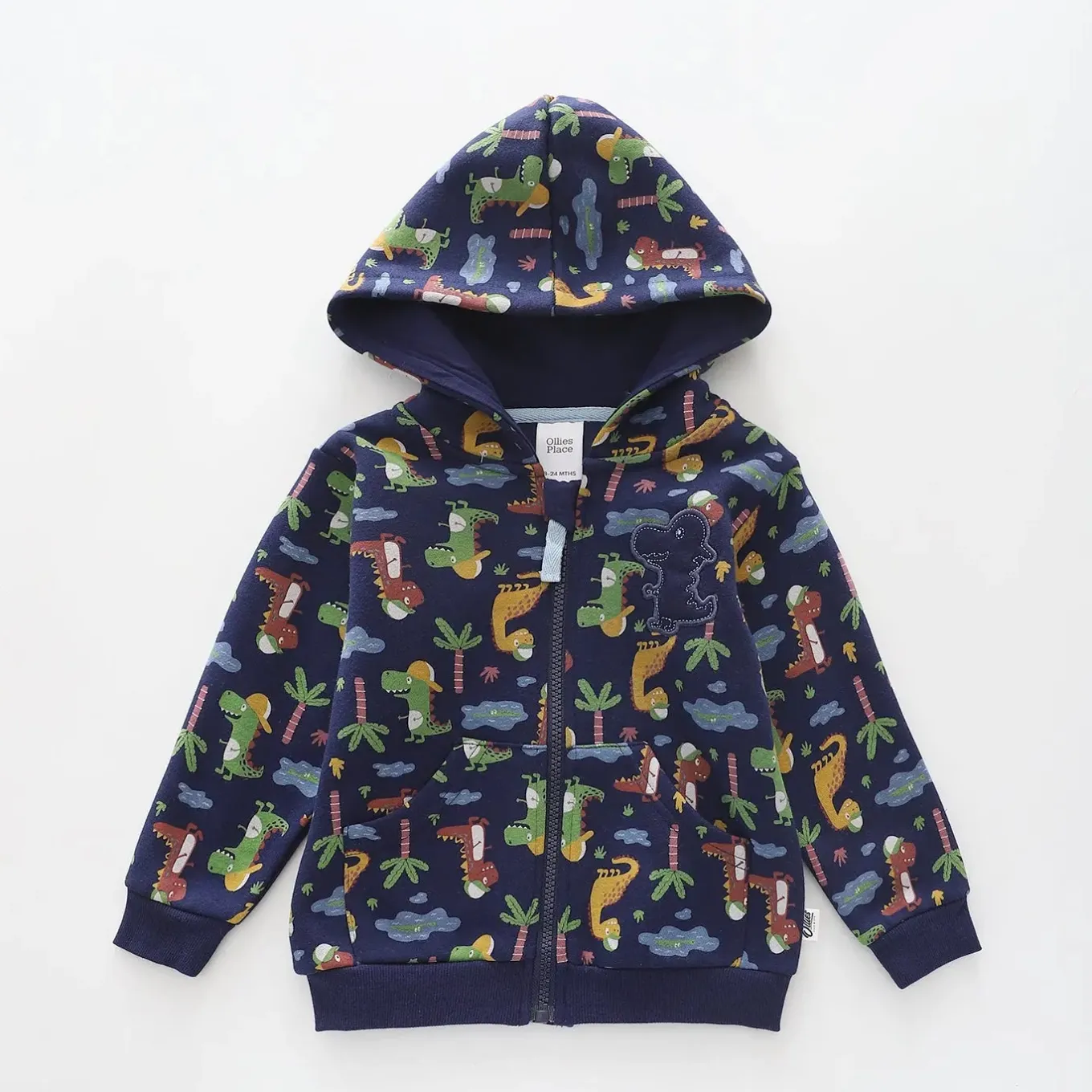 Dinosaurs, Boys Zip Hoodie