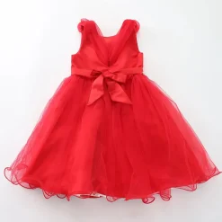 Elegant Red Tulle Dress