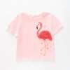 Fancy Flamingo Top