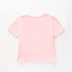Fancy Flamingo Top