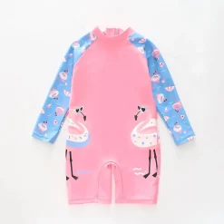 Flamingo Fun Rashie Swimsuit