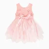 Girl Princess Lace Tulle Dress