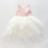 Girls' Pink Lace Tutu Dress