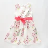 Girl's White and Pink Cherry Blossom Party Dress